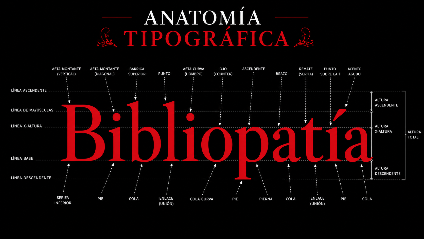 Bibliopatía — anatomía tipográfica