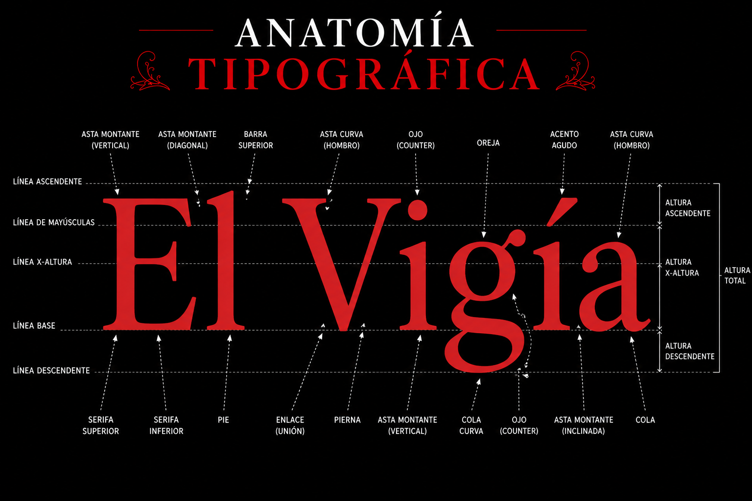 El Vigía — anatomía tipográfica